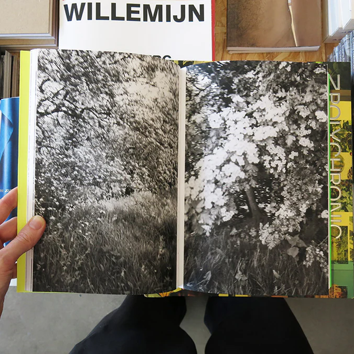 Sam Contis: Overpass