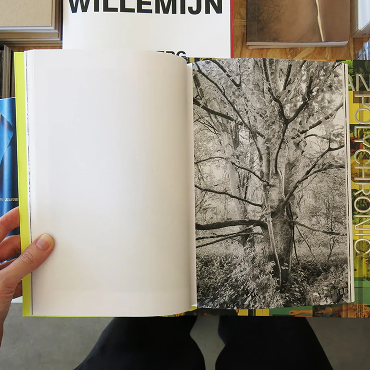 Sam Contis: Overpass