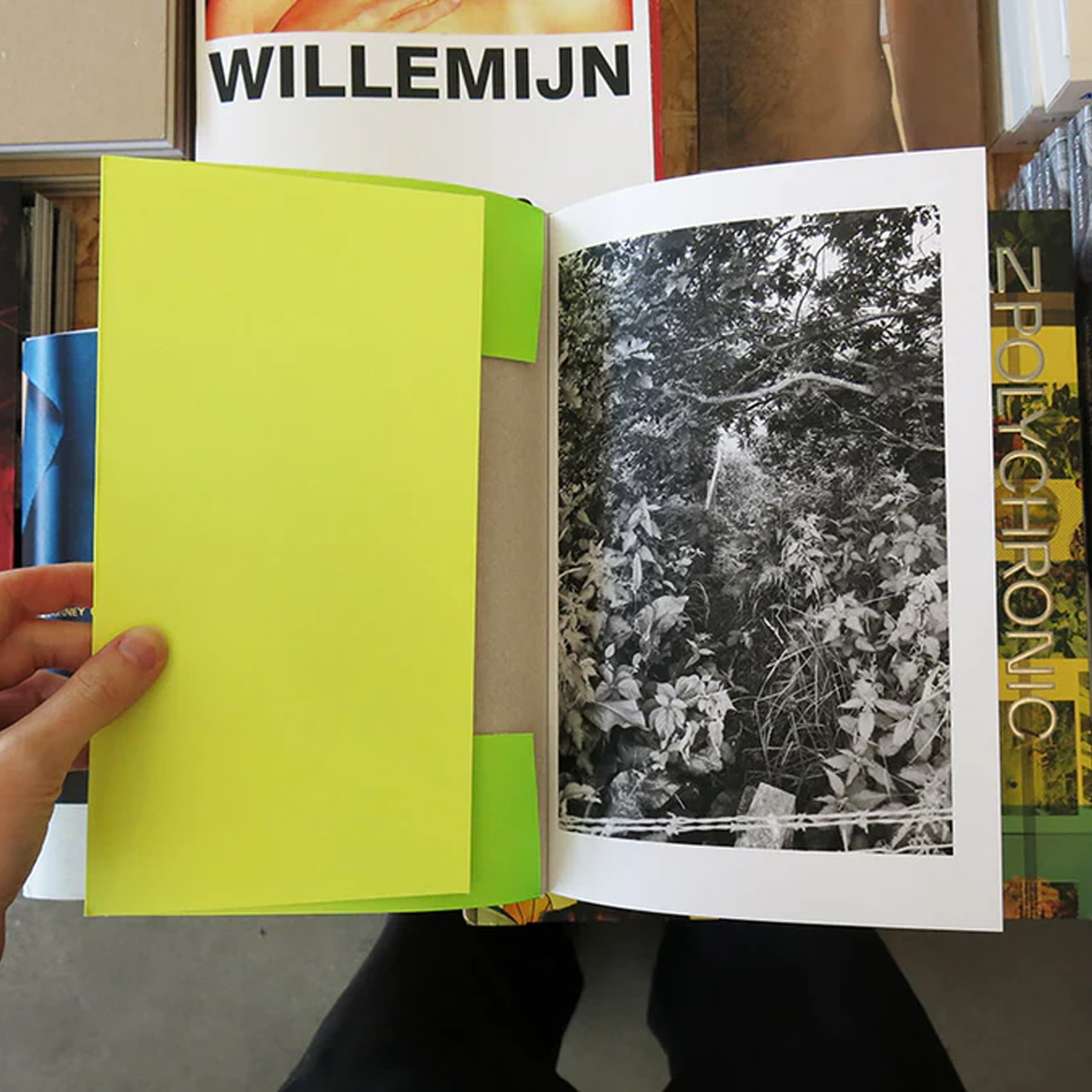 Sam Contis: Overpass