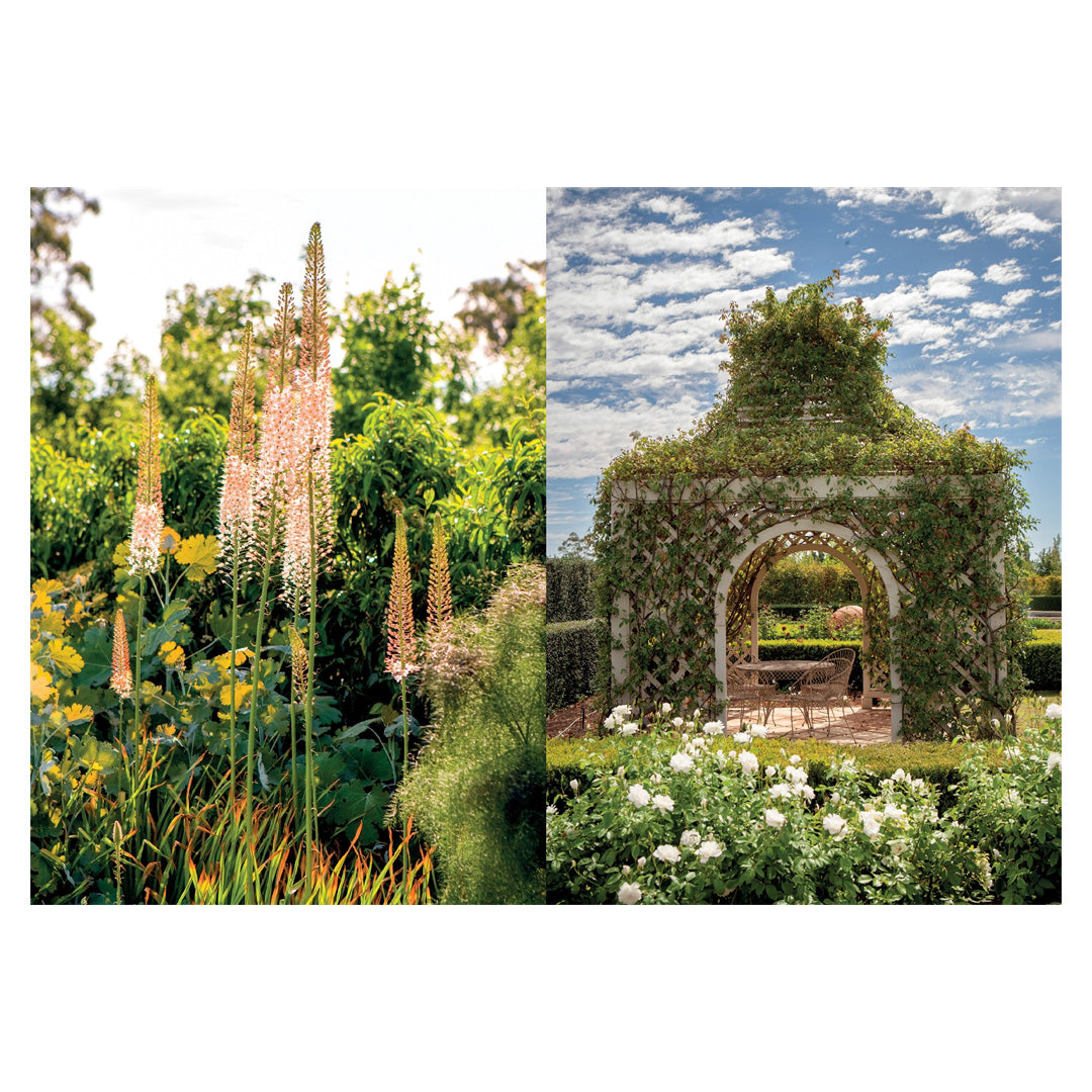 Paul Bangay: A Life in Garden Design