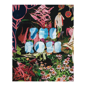 The Rose: A circular Genealogy of Collage