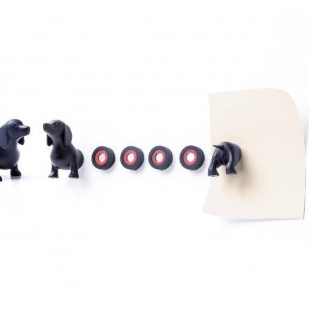 Qualy Dachshund Dog Magnet Set (6pce)