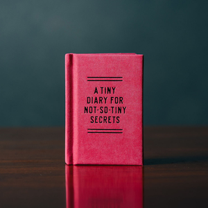 Tiny Diary for Not So Tiny Secrets