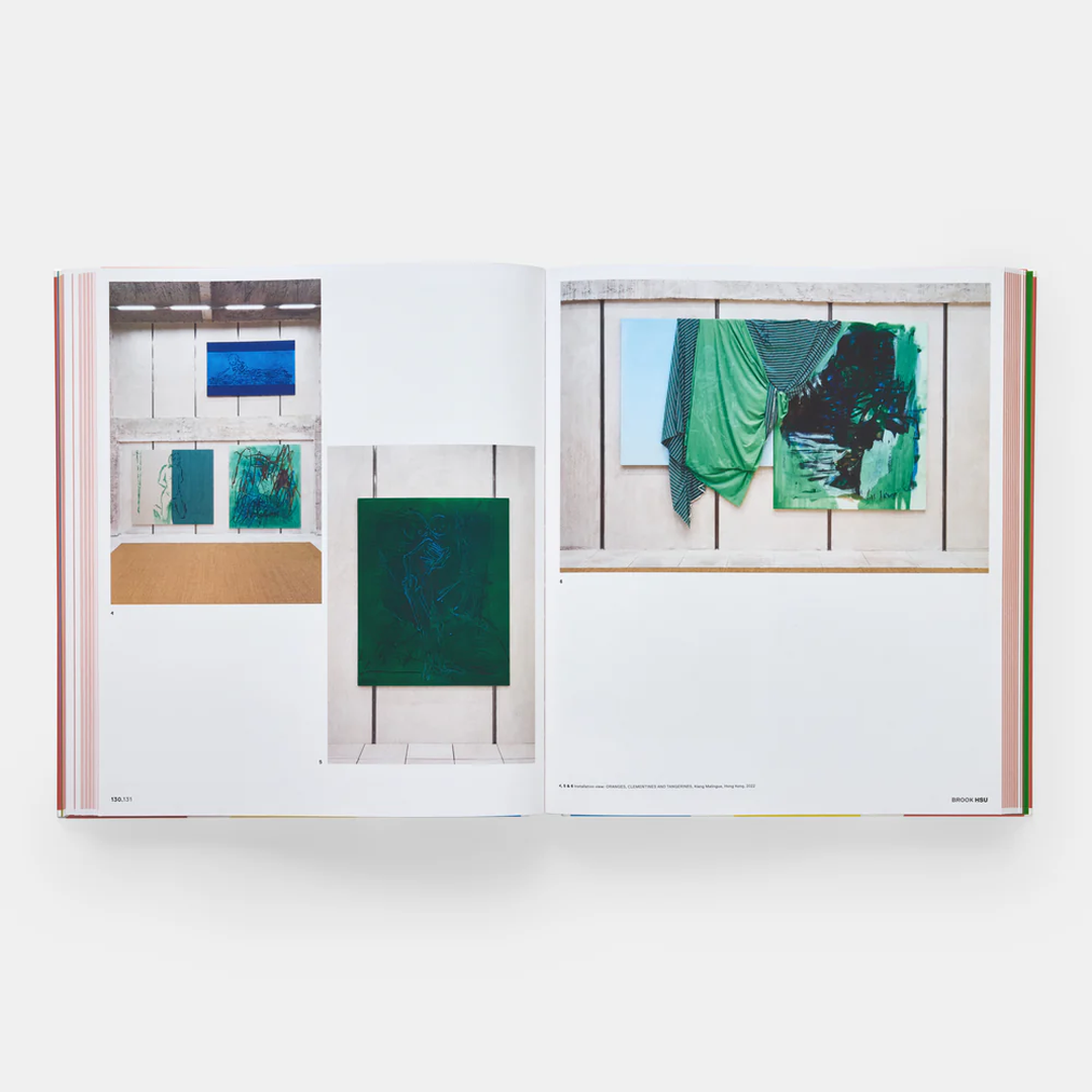Vitamin P4: New Perspectives in Painting