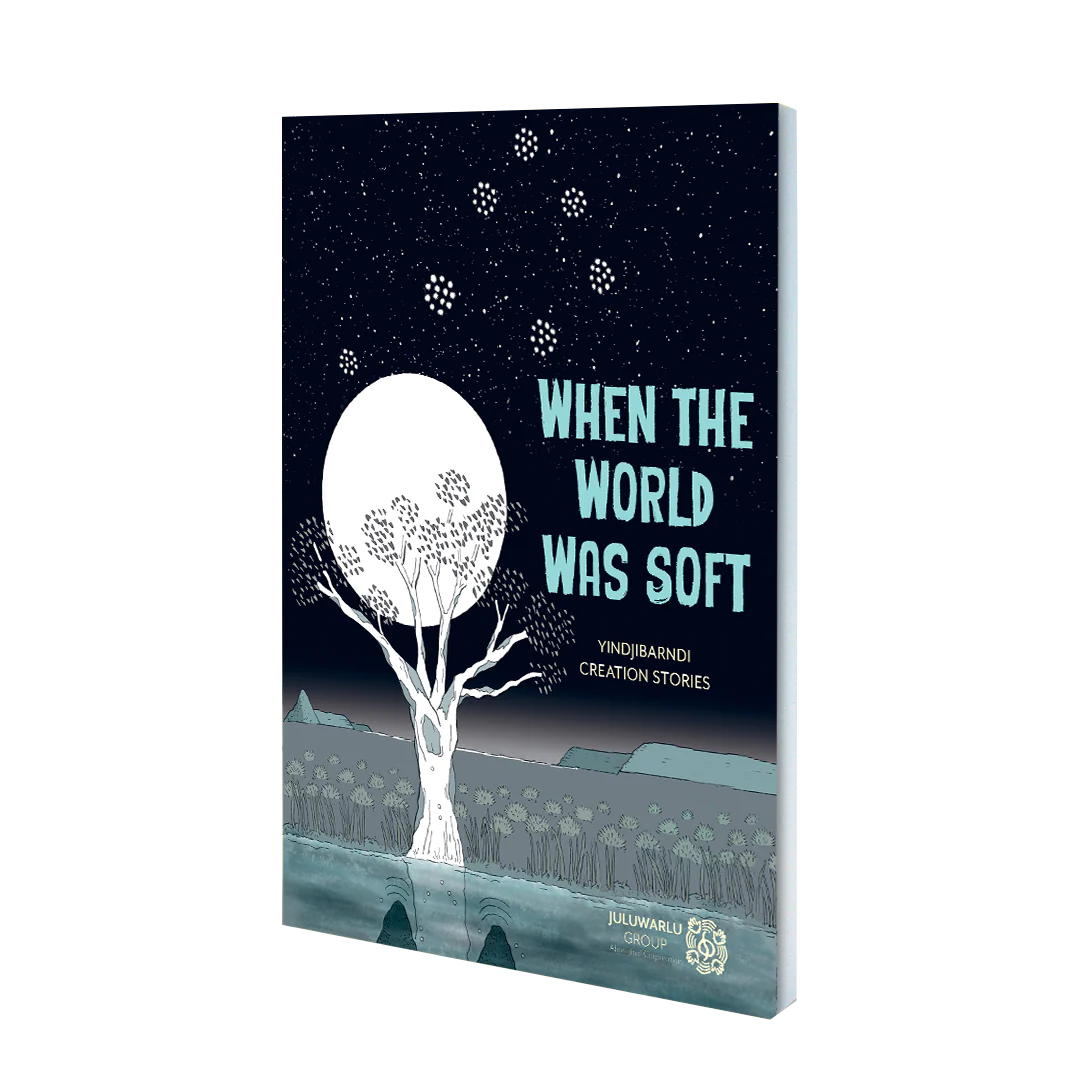 When the World Was Soft - Graphic Novel