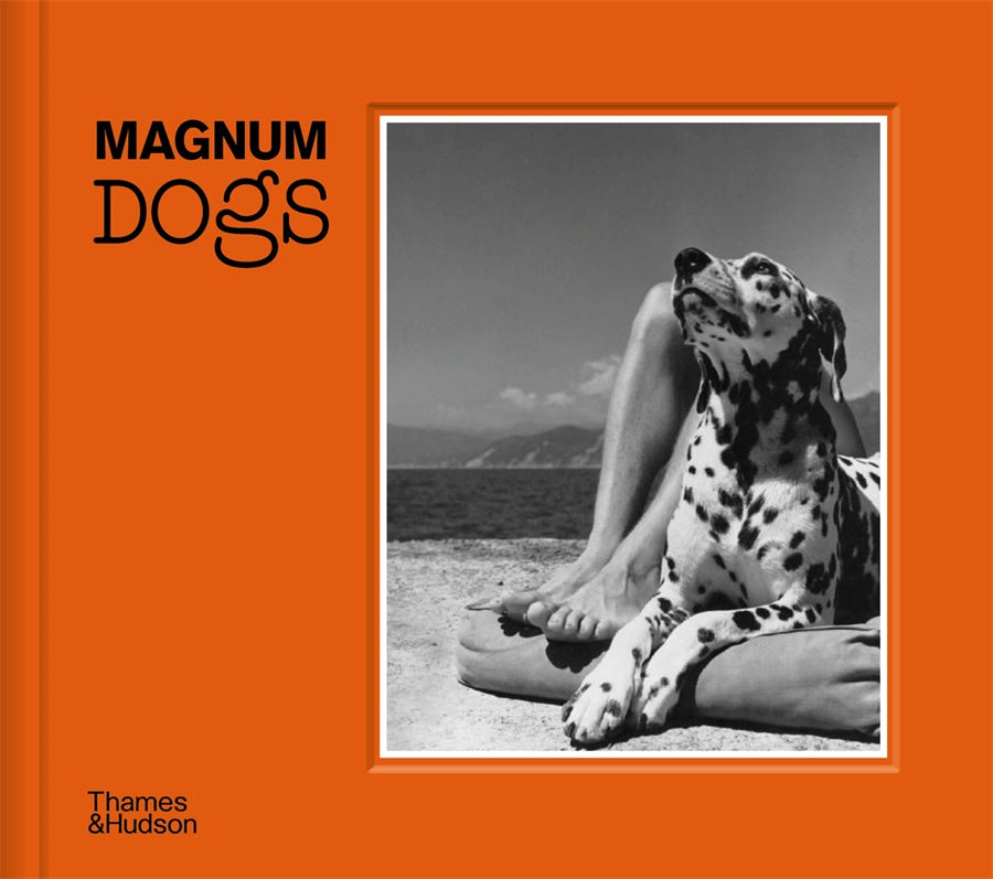 Magnum Dogs